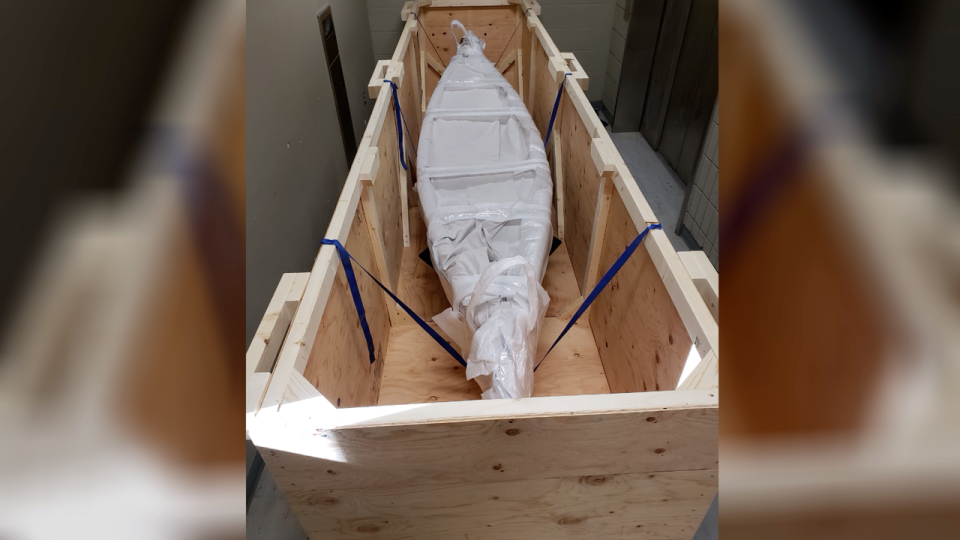 Canoe in crate